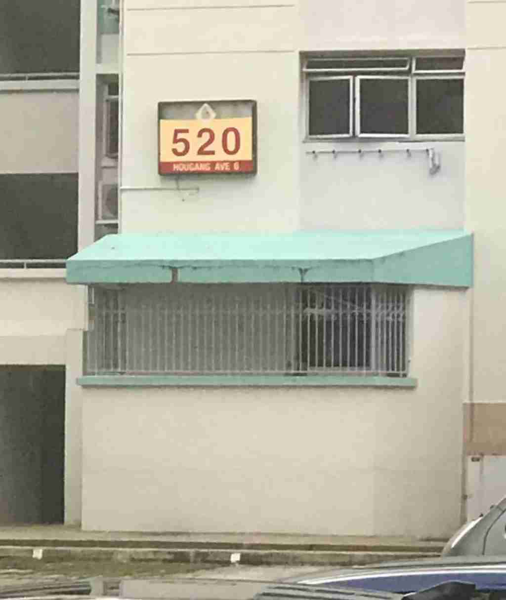 纽约 房产 出租 526 Hougang Avenue 6