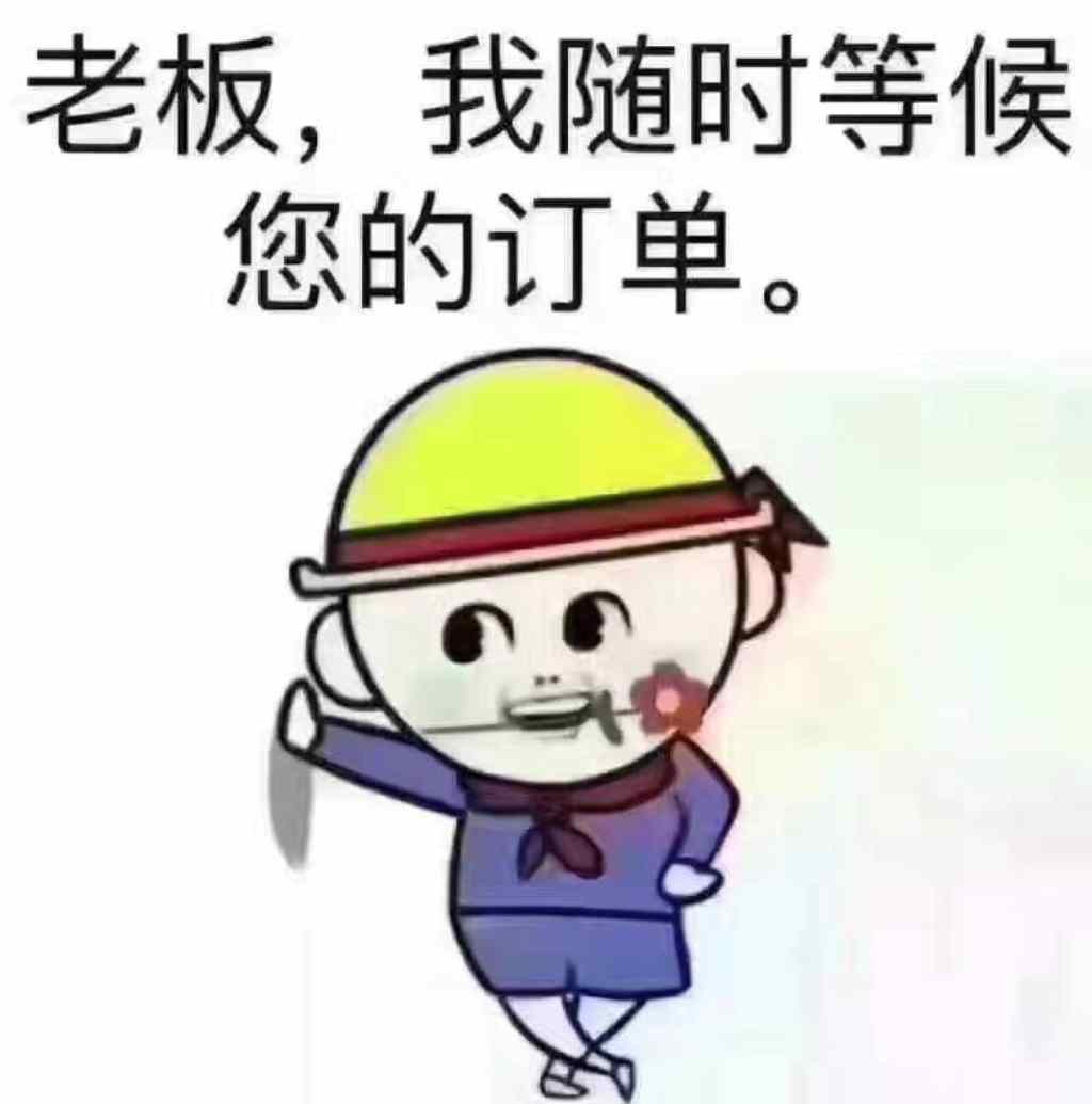 纽约 服务 搬家接送 纽约电召车